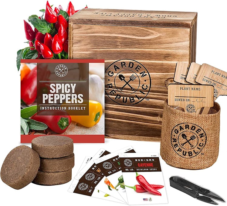 GARDEN REPUBLIC Pepper Seed Starter Kit 