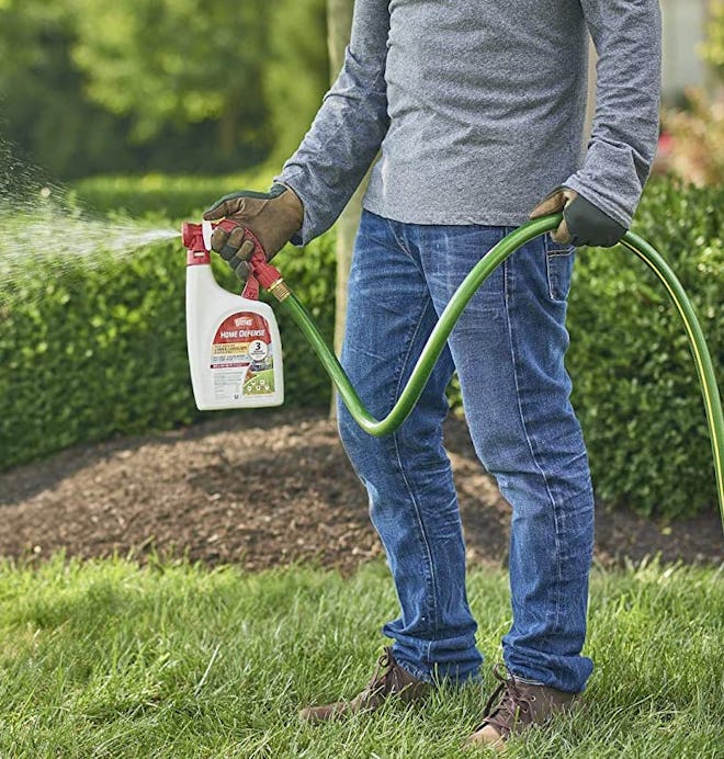 Ortho Ready-to-Spray Home Defense Insect Killer for Lawn & Landscape