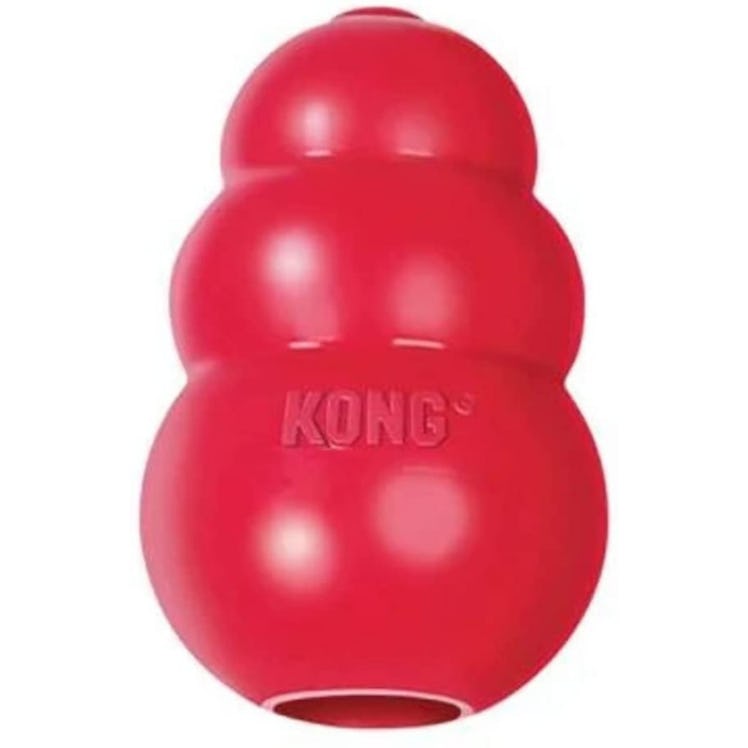 KONG Classic Dog Toy