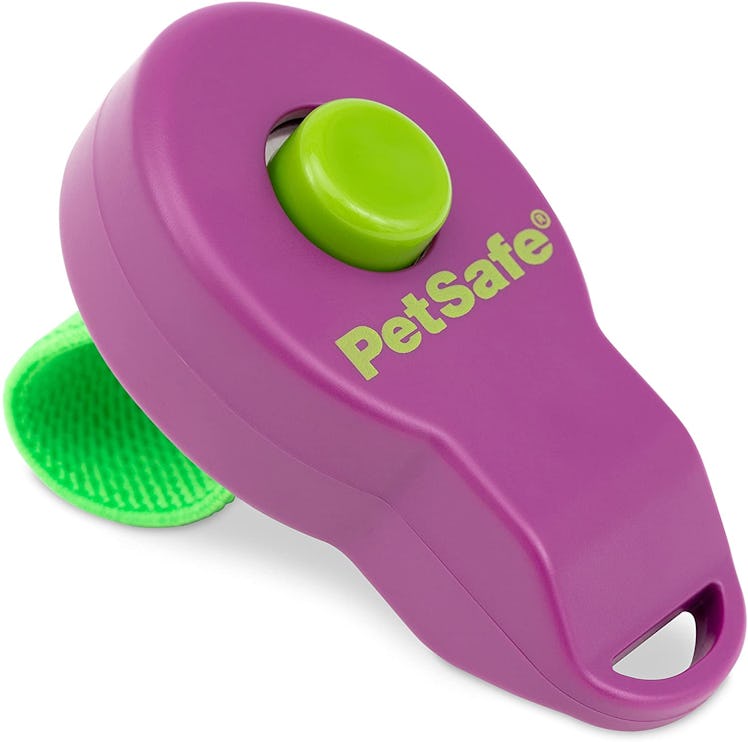 PetSafe Clik-R Training Clicker