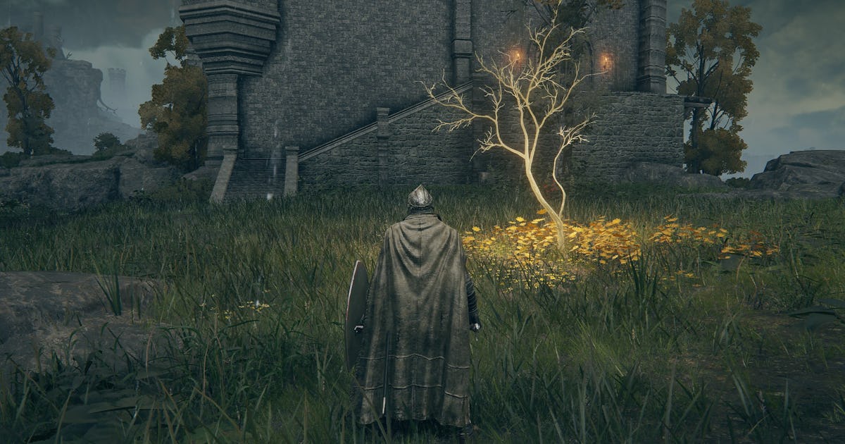 Ten ukryty Koloseum „Elden Ring” wygląda idealnie do bitew wieloosobowych Ten ukryty Koloseum „Elden Ring” wygląda idealnie do bitew wieloosobowych