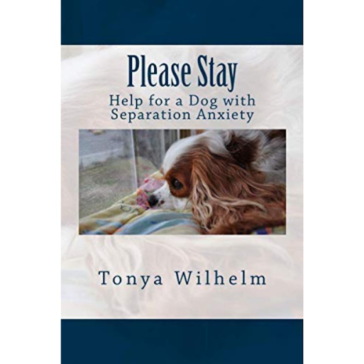 Please Stay: Help for a Dog with Separation Anxiety by Tonya Wilhelm
