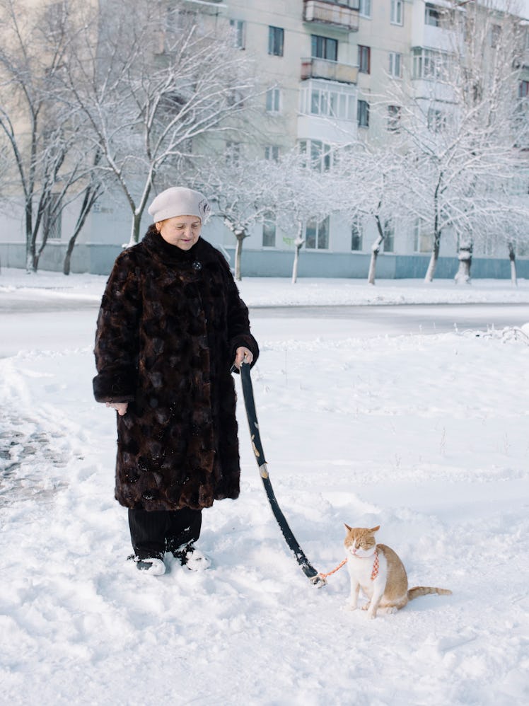 A photo of a person walking a cat by Christopher Nunn