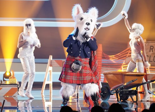 Terrier performs on 'Masked Singer' Season 7. 