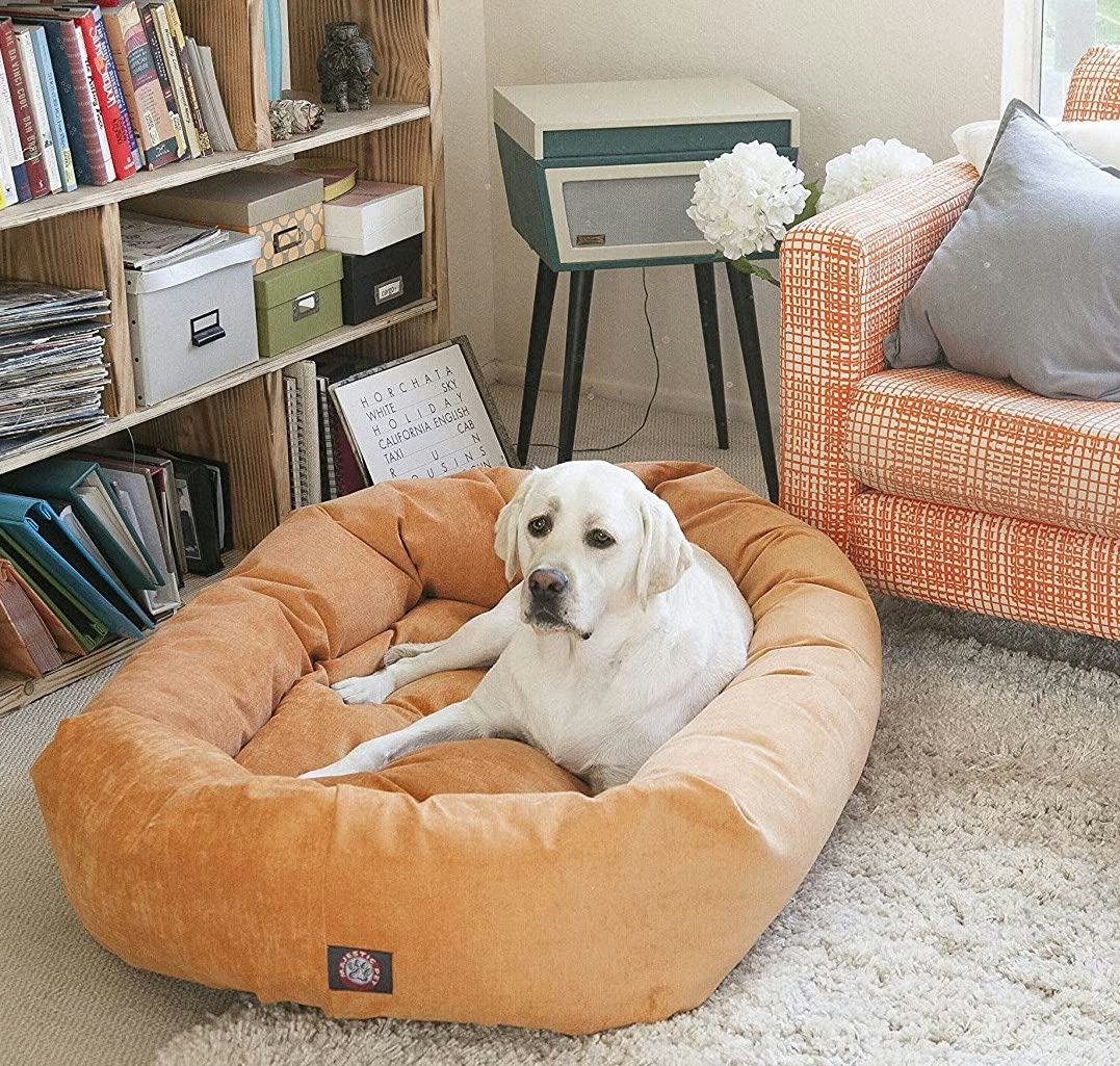 The 12 Best Dog Pillows