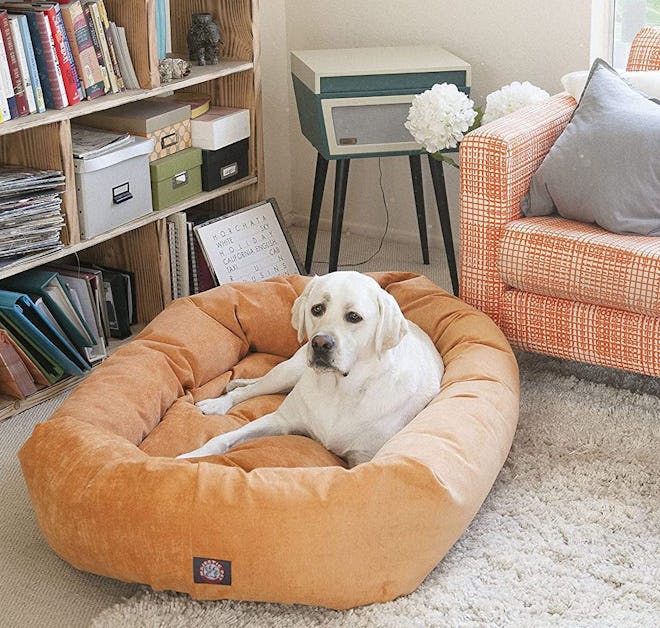 Majestic Pet Villa Bagel Dog Bed