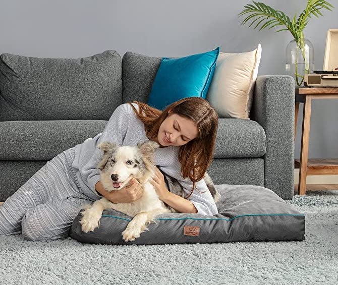 best dog pillows