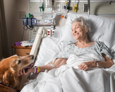 Elderly woman comforted by therapy dog