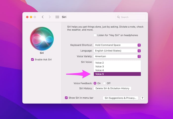 How to turn on Gender Neutral Siri voice on Mac