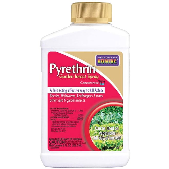 Bonide Pyrethrin Garden Insect Spray Mix