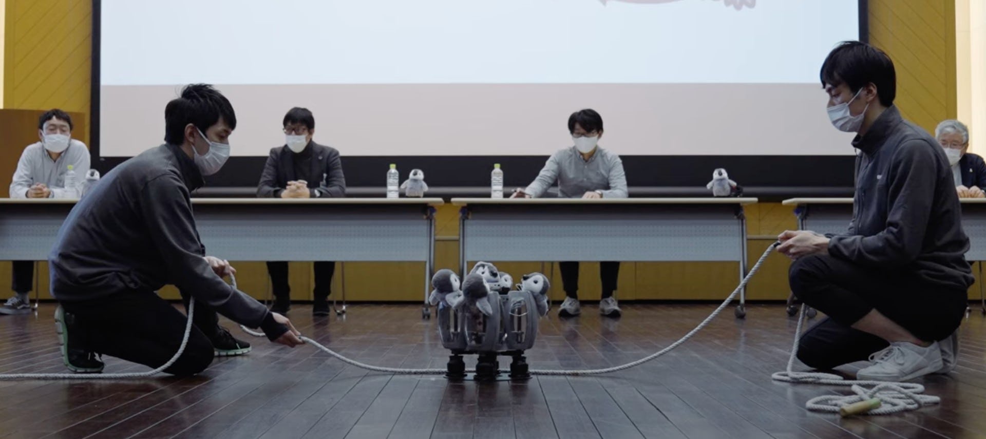 Robot penguin Penta X