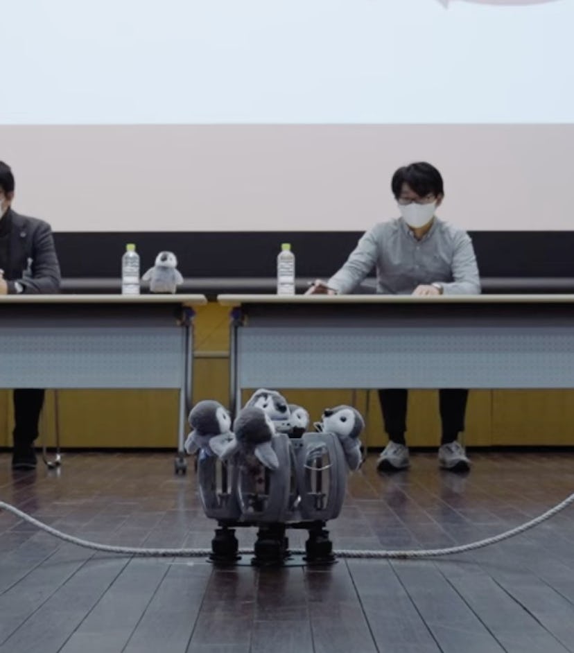 Robot penguin Penta X