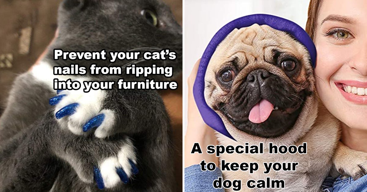 If your pets are destroying your home, these 35 clever things will be life-changing If your pets are destroying your home, these 35 clever things will be life-changing