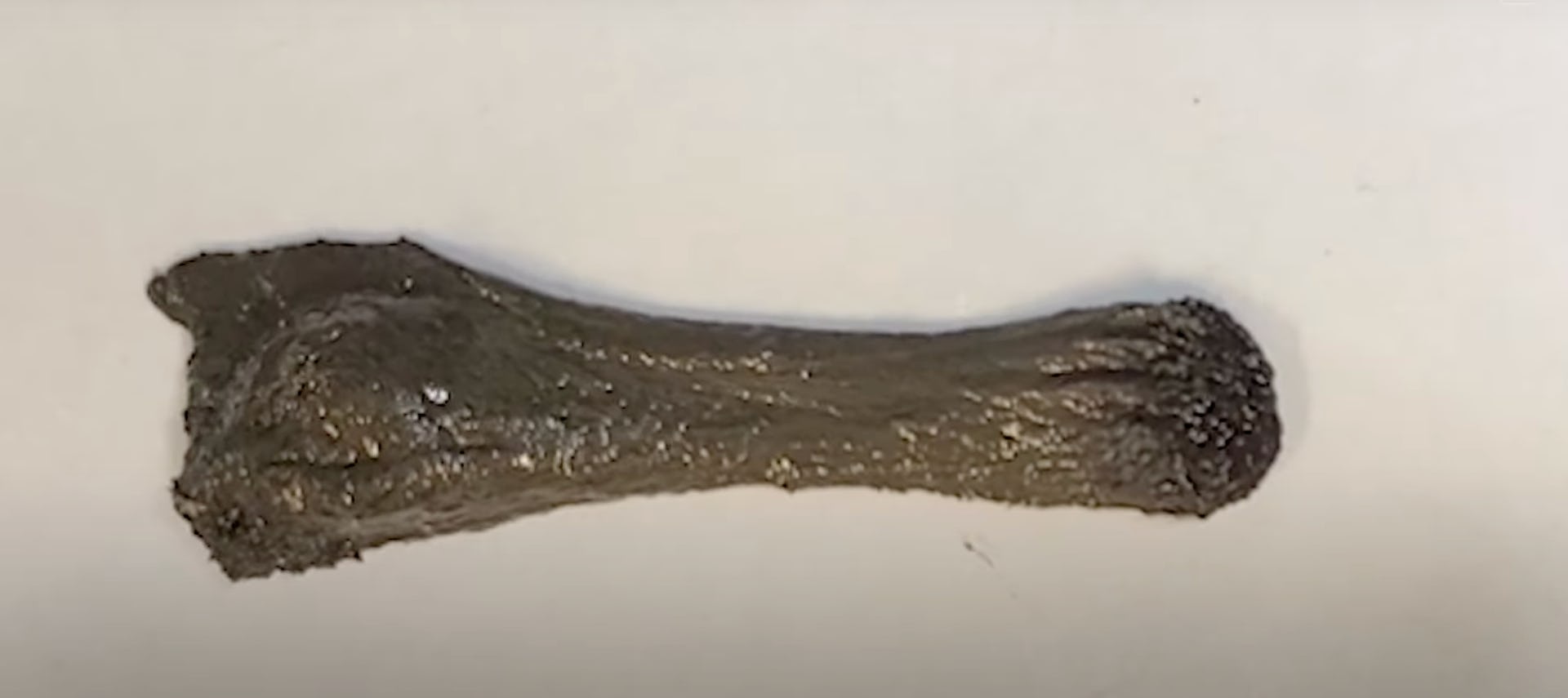 Scientists say blob could be used to retrieve swallowed objects