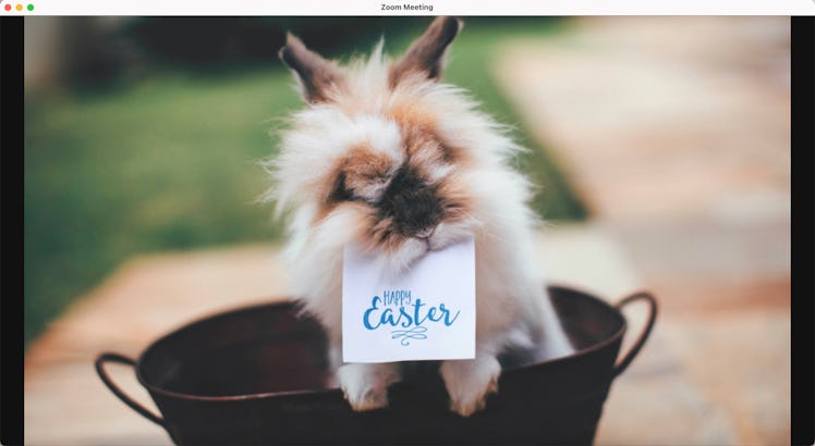 Make your Zoom call cuter with this rabbit Easter Zoom background