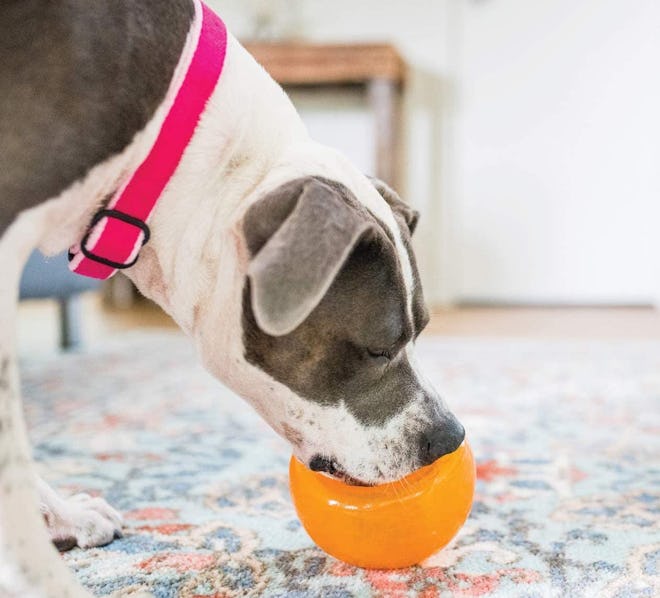 The Snoop Interactive Treat-Dispensing Toy