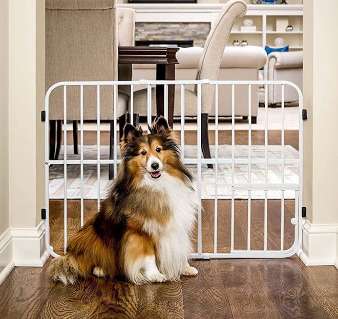 Carlson Pet Products Expandable Pet Gate
