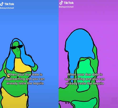 A screenshot from a viral Shay Mitchell TikTok using the rotoscope effect.