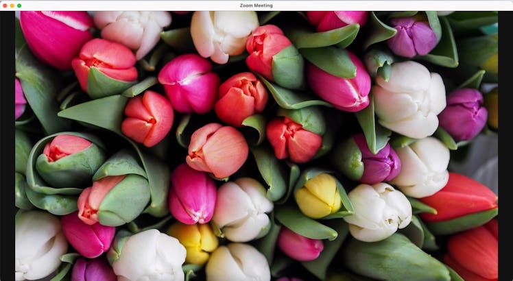 This Easter Zoom background is a bouquet of tulips