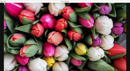 This Easter Zoom background is a bouquet of tulips