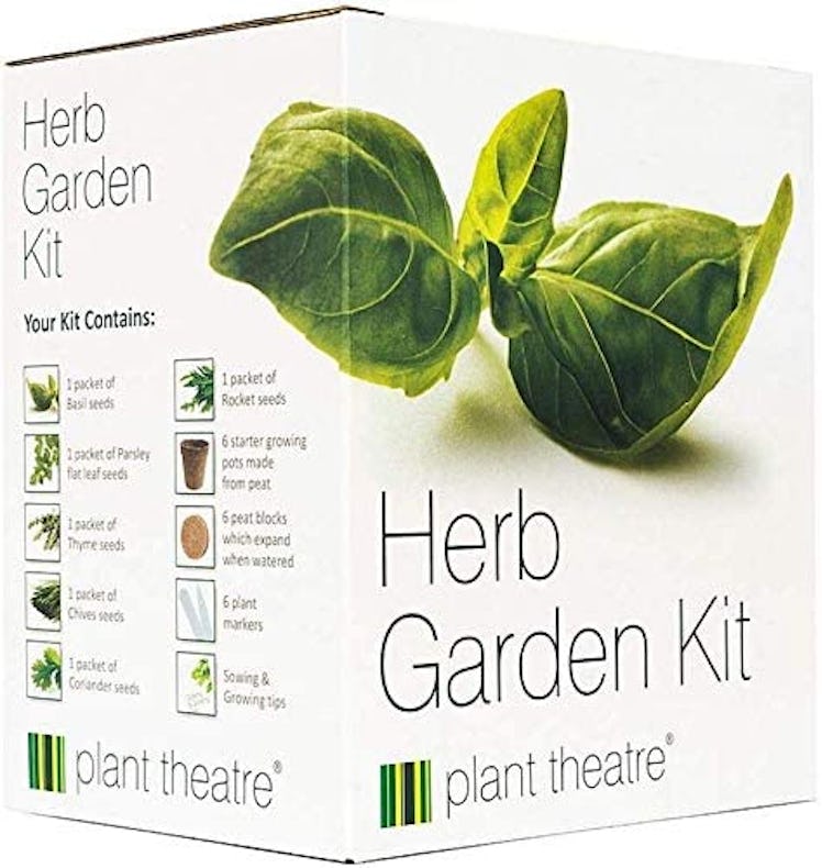 Plant Theatre Indoor Herb Garden Kit