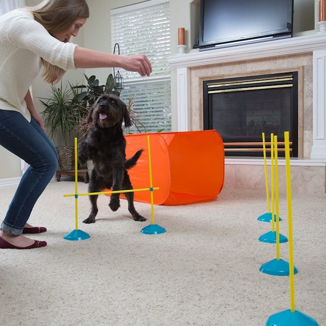 Outward Hound Zip & Zoom Dog Agility Training Kit