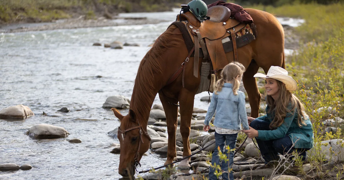 When Will 'Heartland' Season 15 Be On Netflix?