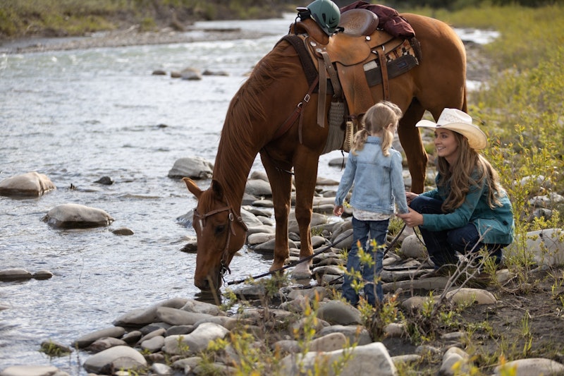 'Heartland' Season 15 aired on CBC but has yet to arrive on Netflix.