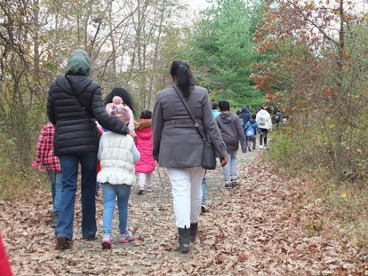 A group of people taking a walk through a forest