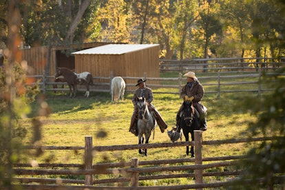 Horseback riding in New Mexico