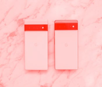 The Pixel 6 and Pixel 6 Pro