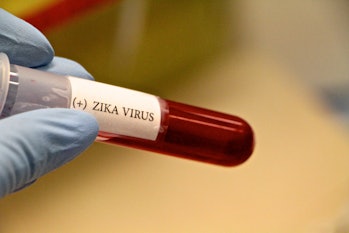 A mutation in the Zika virus could make it more dangerous, new research shows