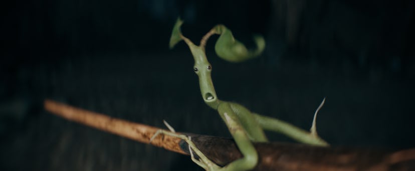 Pickett the Bowtruckle as one of Newt’s “fantastic beasts”