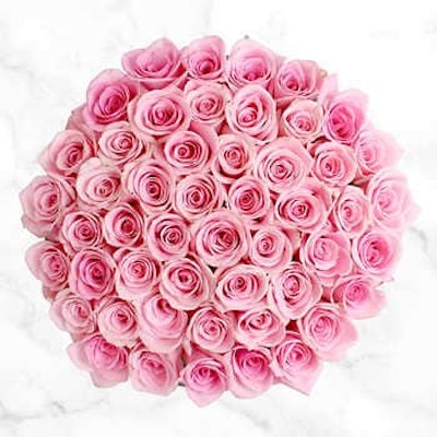Mother's Day 50-Stem Light Pink Roses
