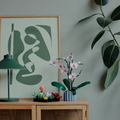 Lego Orchid and Lego Succulents sets