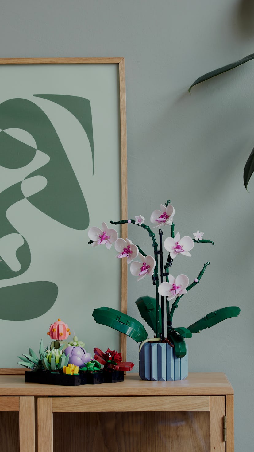 Lego Orchid and Lego Succulents sets