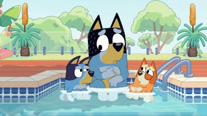Bluey, Bandit, and Bingo sitting in the pool, looking vexed. 