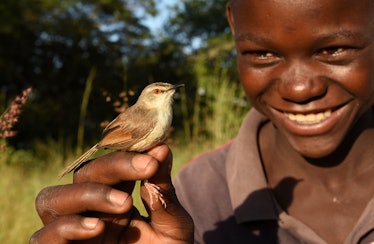 A smiling Black man holds a small tawny bird on his finger.