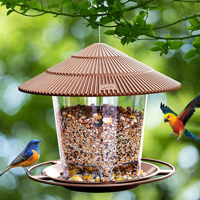 Hanizi Bird Feeder
