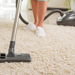 best vacuums for shag carpets