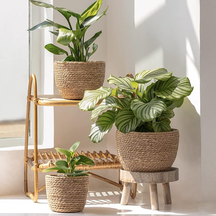 La Jolíe Muse Seagrass Planter Basket Indoor, Flower Pots 3-Pack