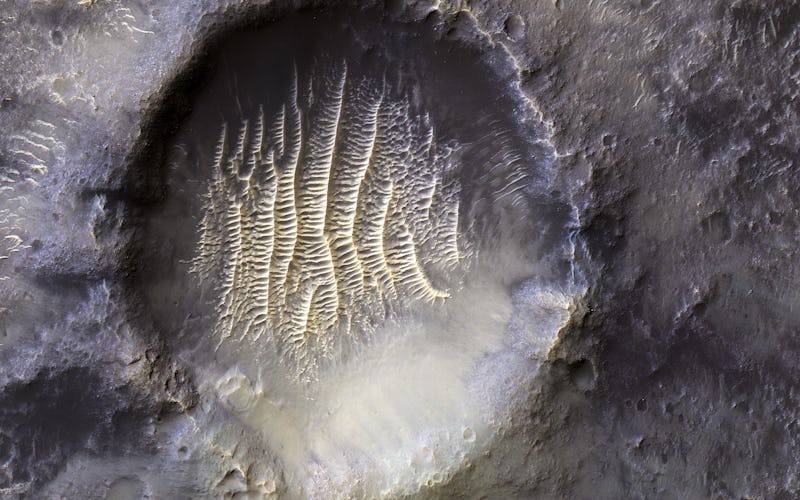 a crater showing ridges that look like the surface of a cantelope