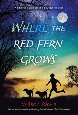 'Where the Red Fern Grows' by Wilson Rawls