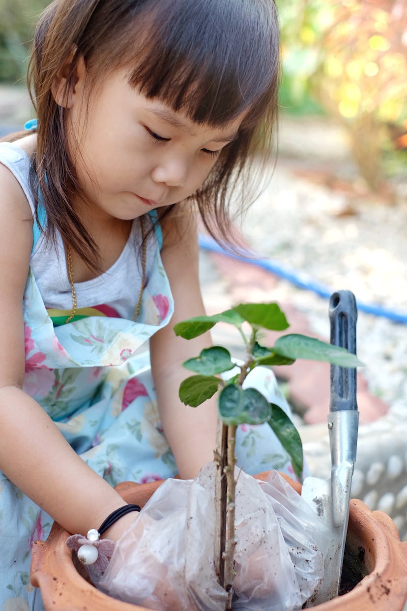 Earth day celebration for kids; little girl planting a tree