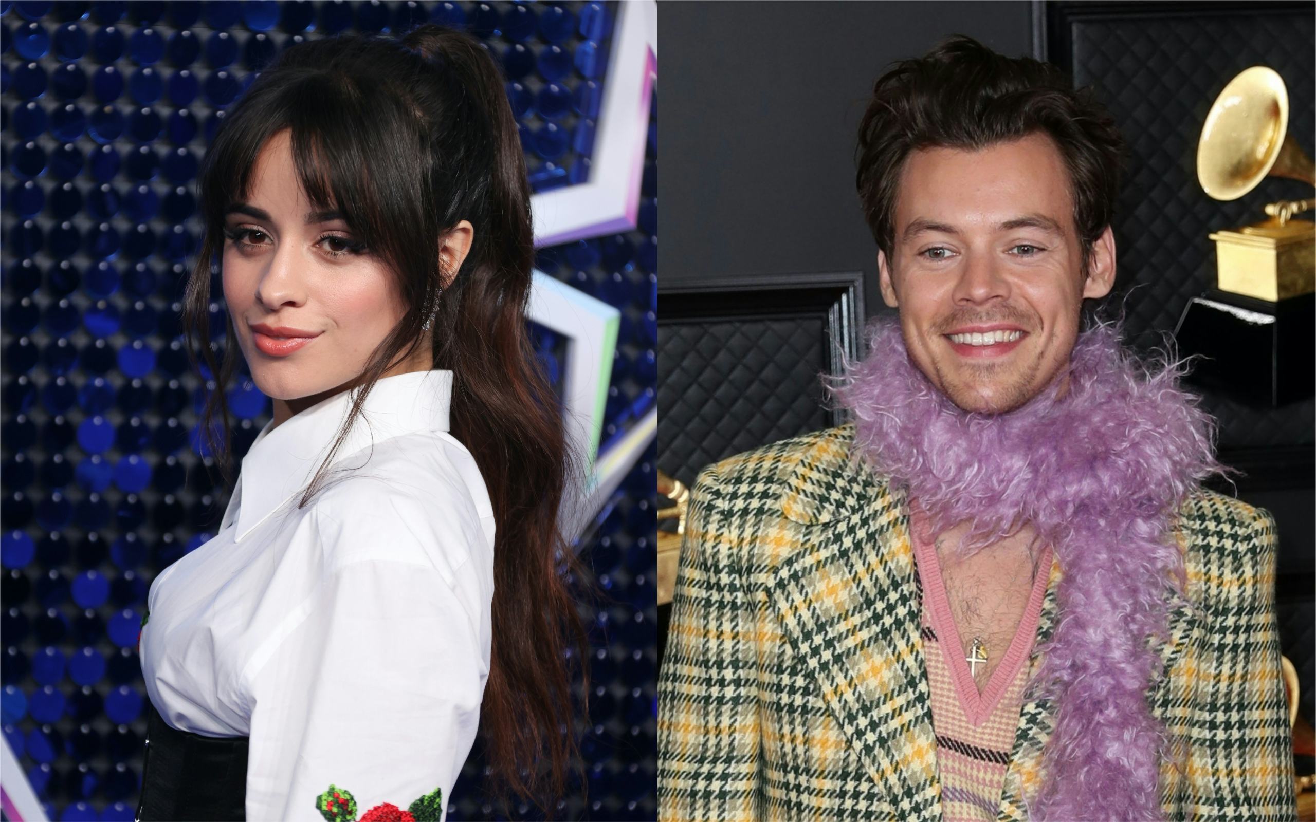 Camila Cabello Auditioned For ‘The X Factor’ To “Marry” Harry Styles(01)