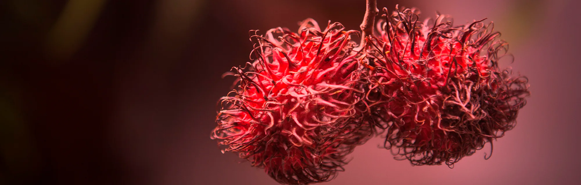 Should you tan your balls? Men's health experts debunk testicular tanning