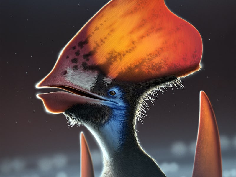 Artist reconstruction of Tupandactylus imperator