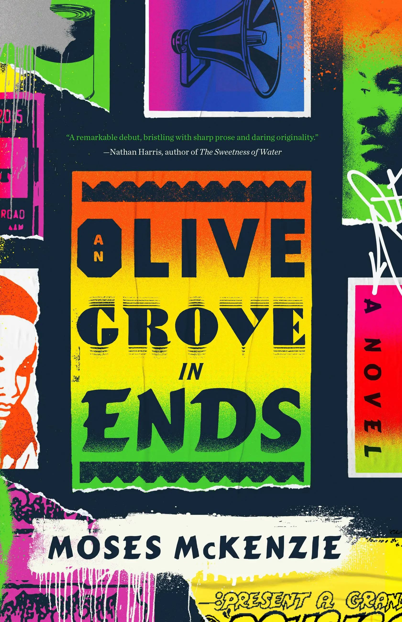 &lsquo;An Olive Grove in Ends&rsquo; by Moses McKenzie