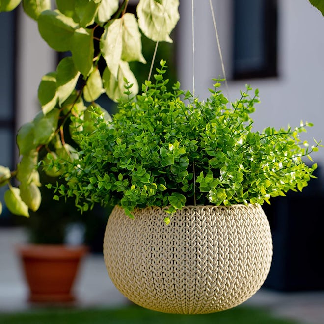 Axylex Artificial Boxwood Shrubs (8-PCS)