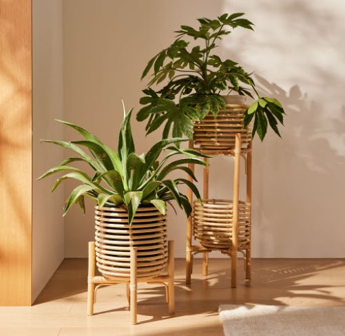 Neutral wooden rattan planter for elevating a room